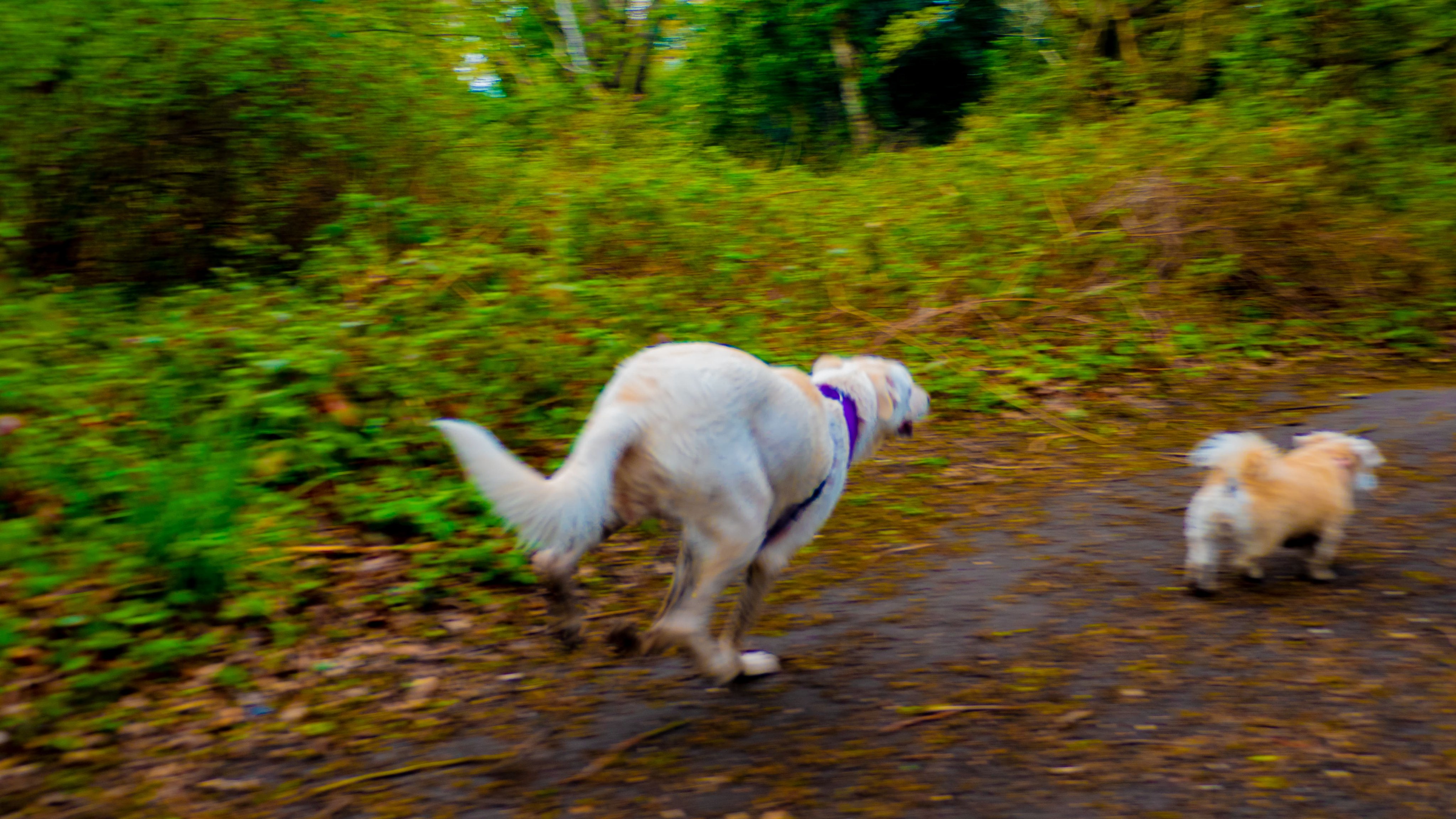 Lilah on set with Cookie