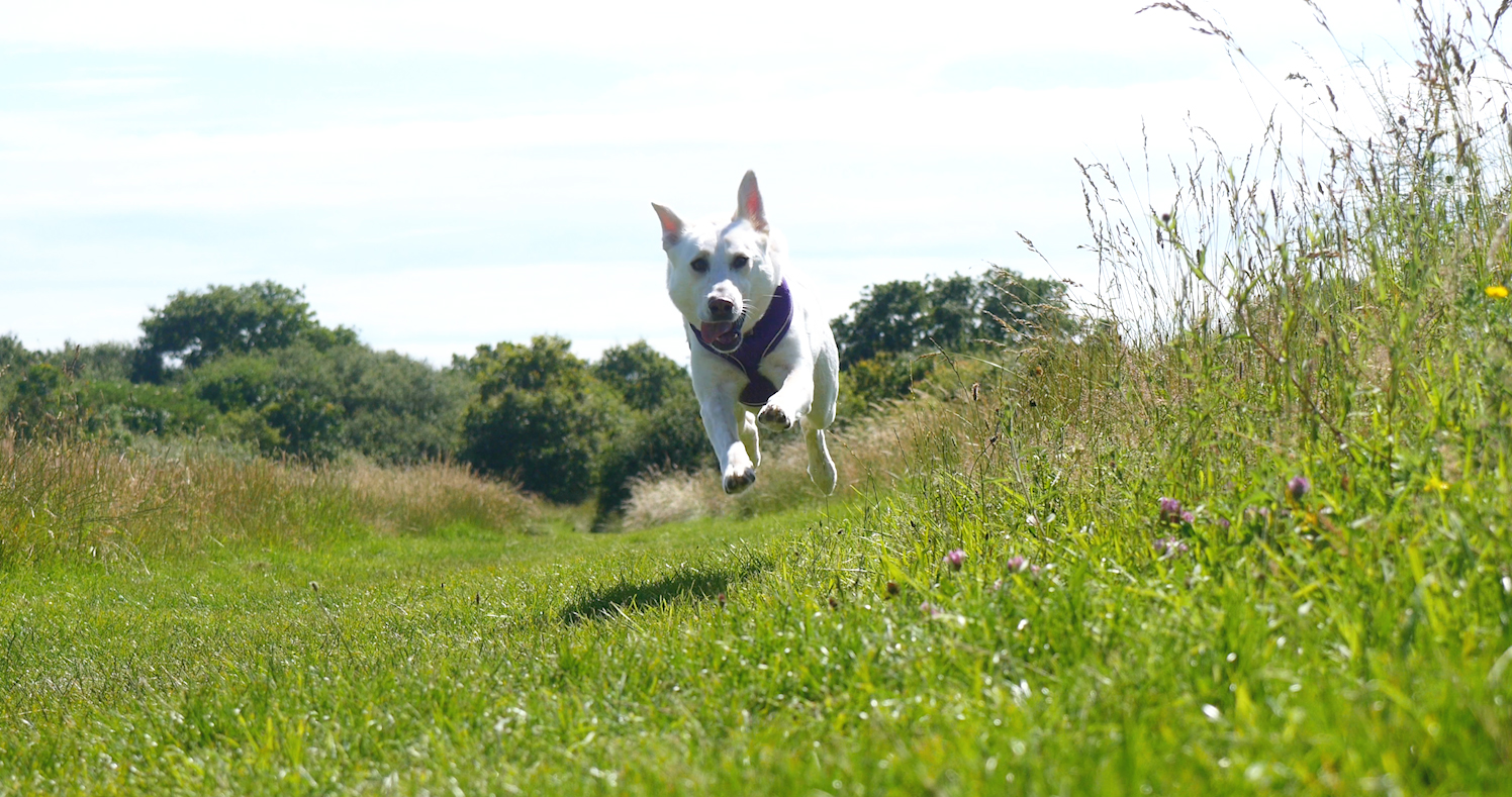 Lilah at the Pythona Awards