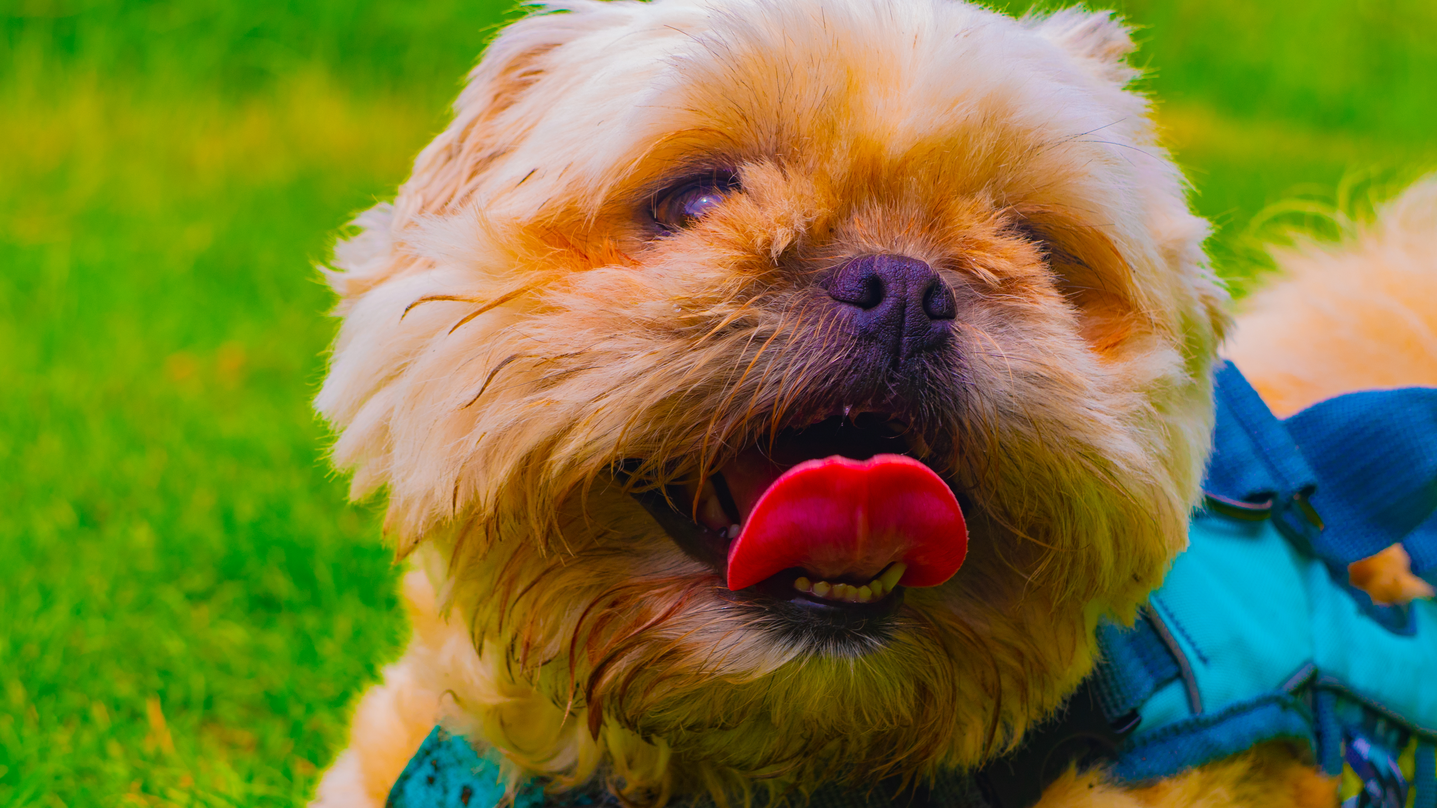 Lilah behind the scenes