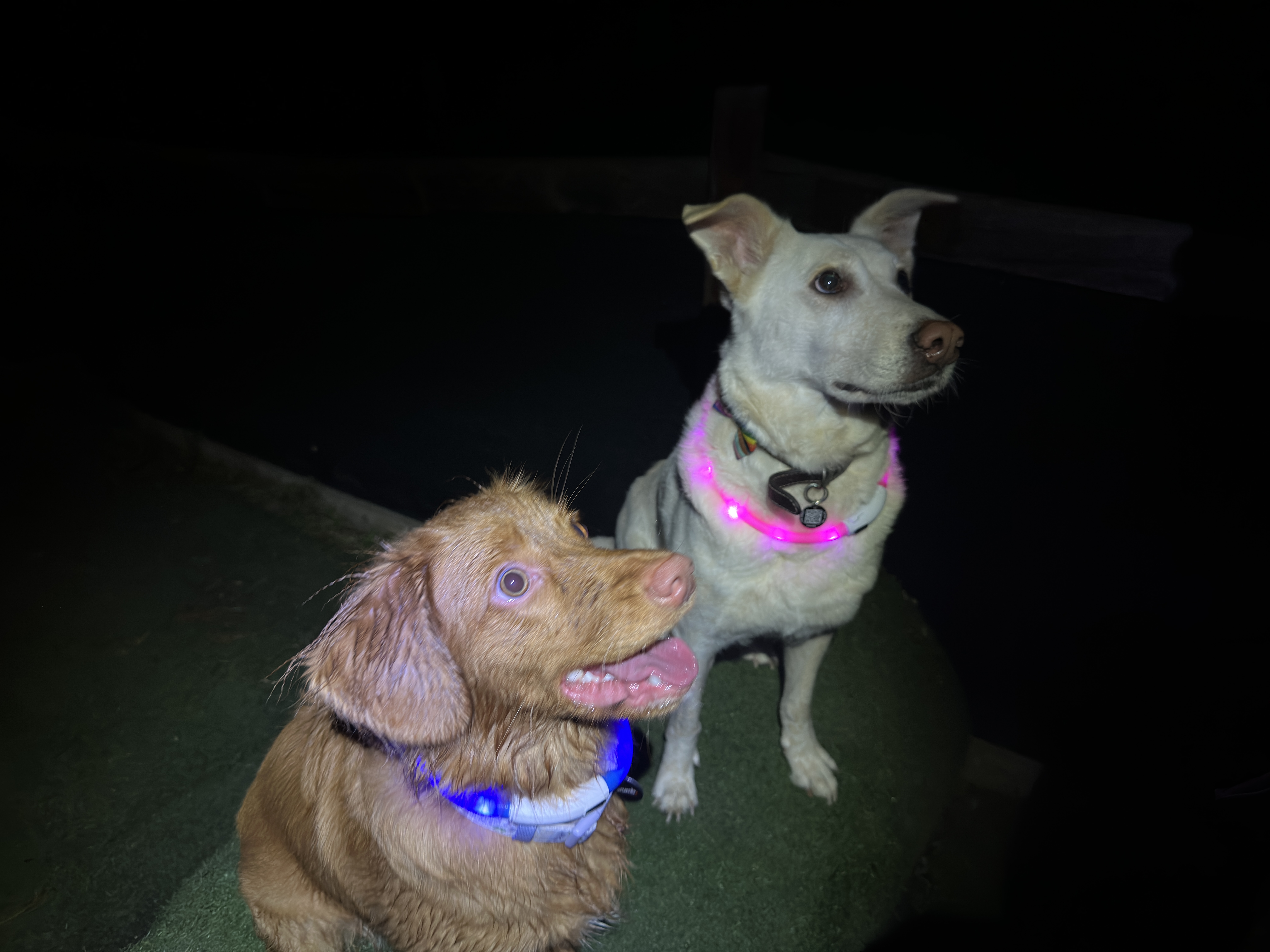 Lilah filming in the countryside