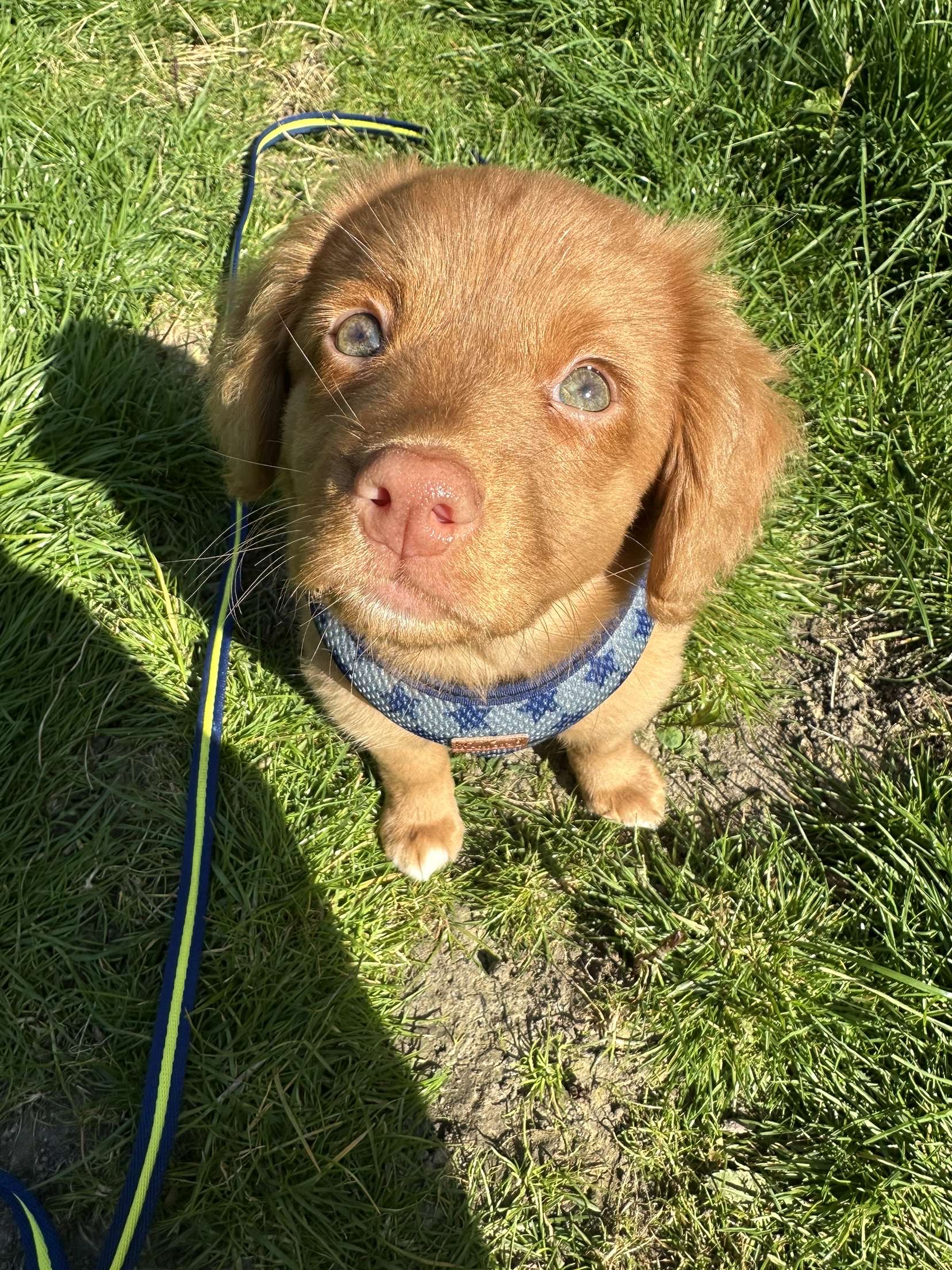 Rory sitting as a baby